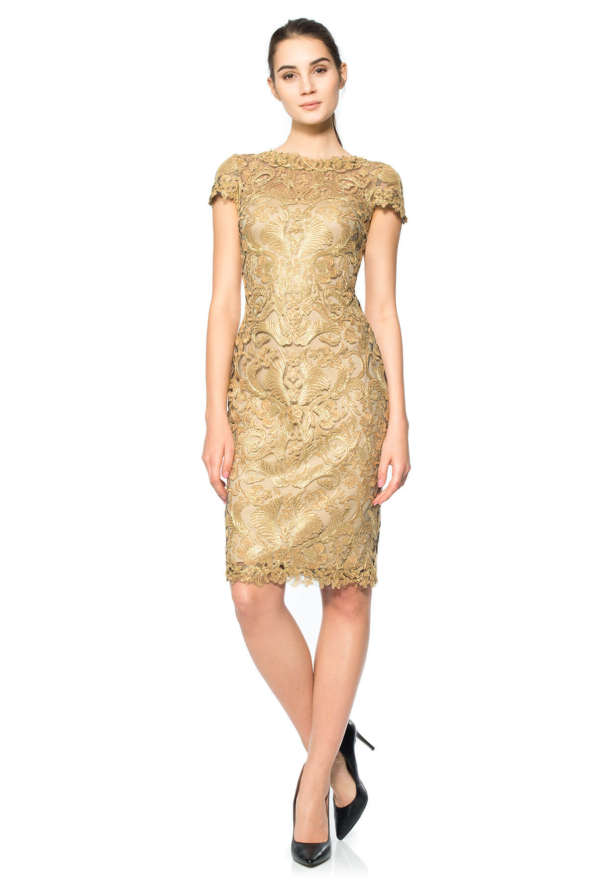 Corded Embroidery on Tulle Cap Sleeve Dress – Tadashi Shoji