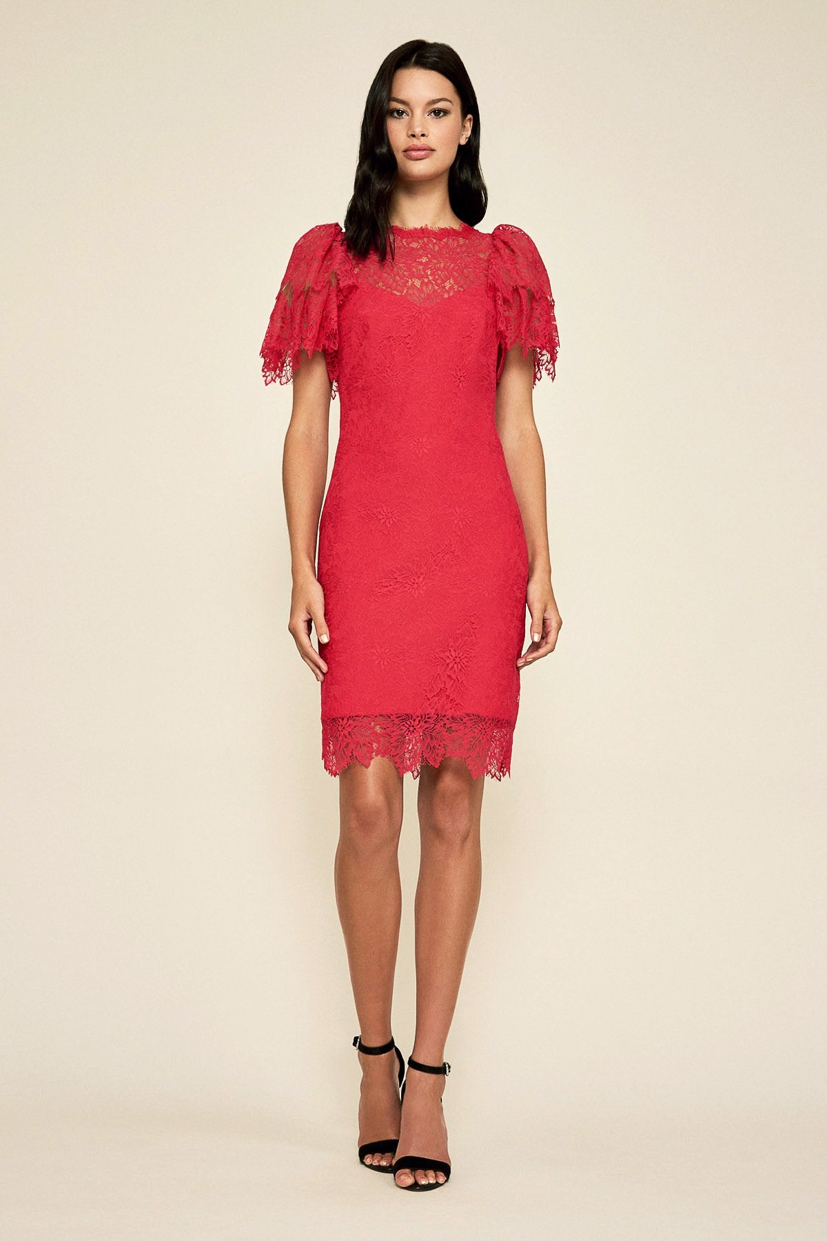 Kassian Leaf Lace Dress – Tadashi Shoji Official Online Boutique