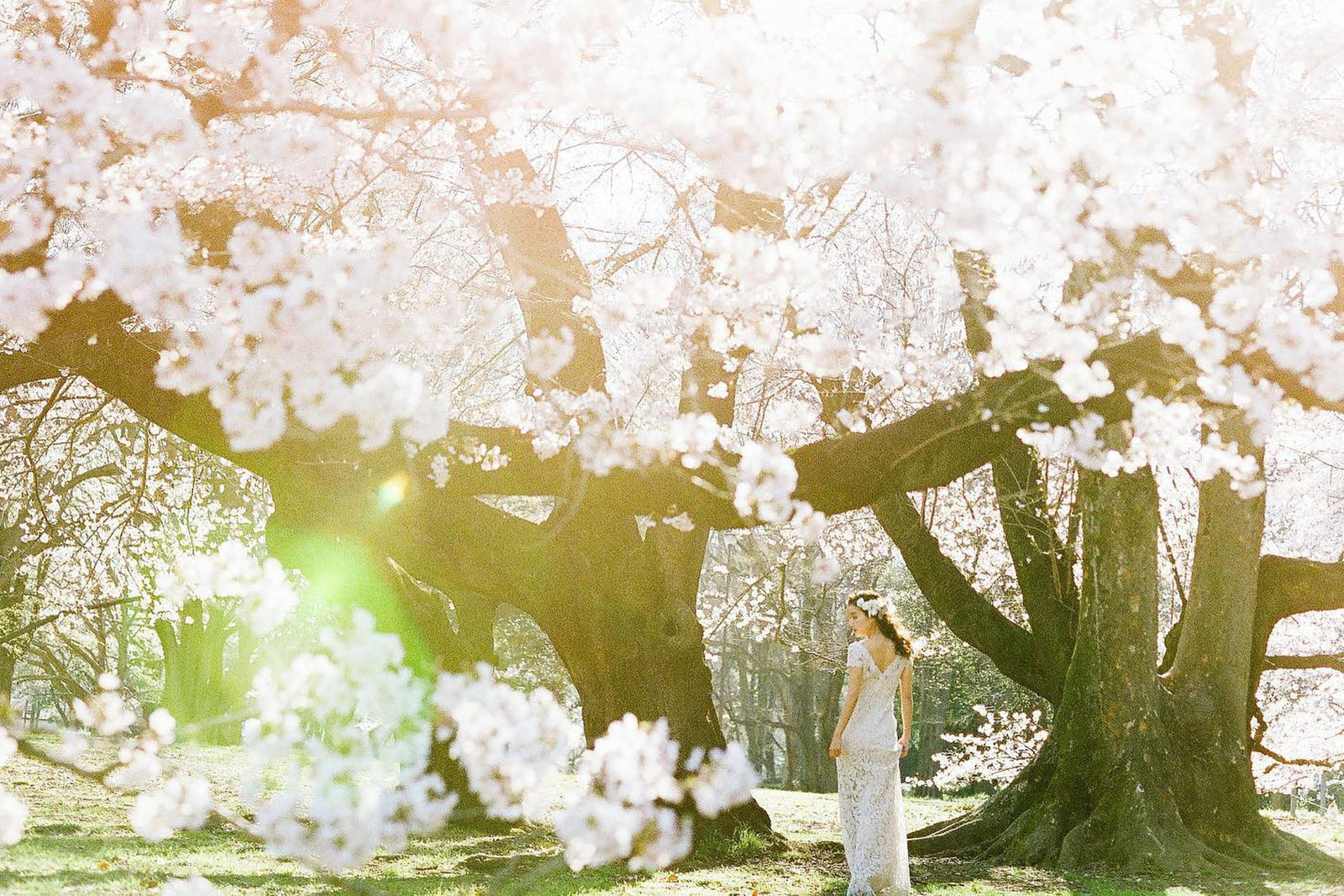 20 Dazzling Garden Wedding Attire Ideas