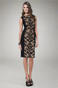 Lace Panel Cocktail Dress in Black / Nude