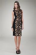 Lace Panel Cocktail Dress in Black / Nude