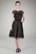 Cut Metallic Tulle Cap Sleeve Dress in Black / Nude