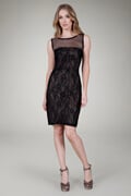 Mesh Overlay Sheath Dress in Black / Nude