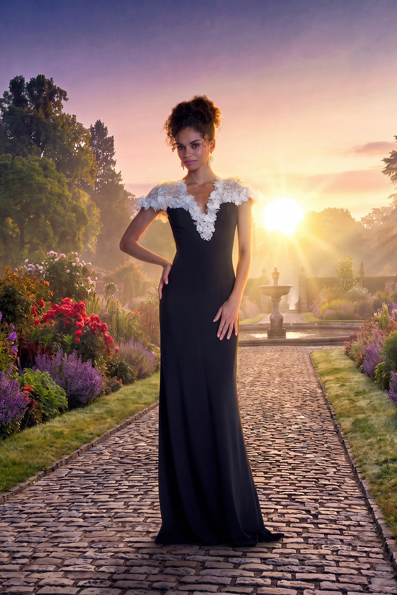 BLACK/IVORY TRELLIS LACE AND TEXTURED CREPE CAP SLEEVE V-NECK GOWN