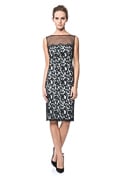 Mesh Illusion Lace Dress