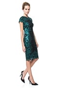 Contrast Paillette Embroidered Lace Panel Dress