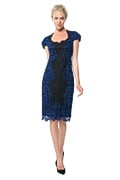 Contrast Lace Panel Dress
