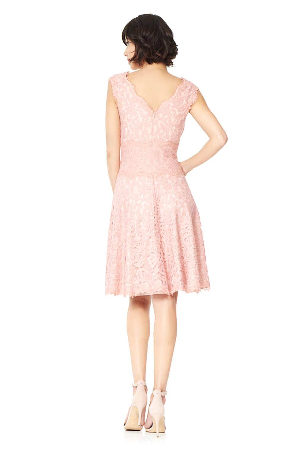 Tadashi Shoji - Lace Embroidery V-Neck A-Line Dress
