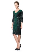Paillette Lace Panel Dress