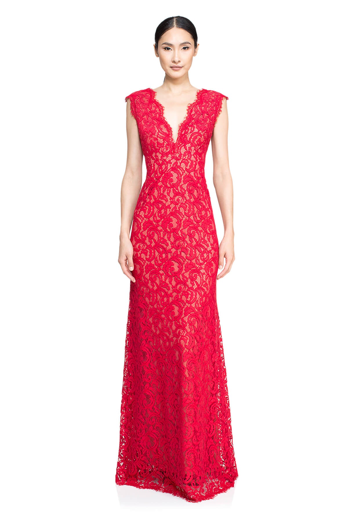 Tadashi Shoji - Lace Embroidery V-Neck Gown