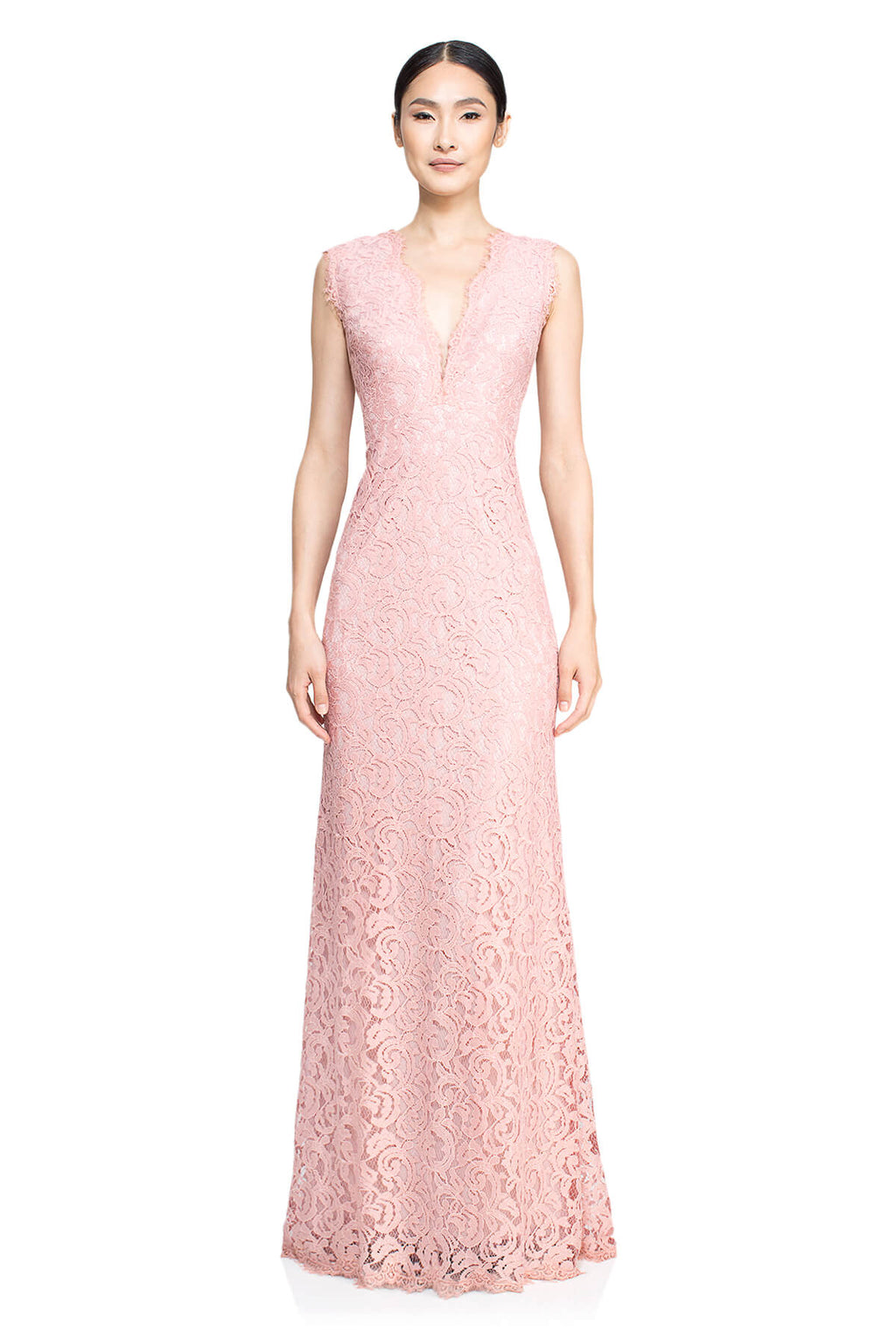 Tadashi Shoji - Lace Embroidery V-Neck Gown