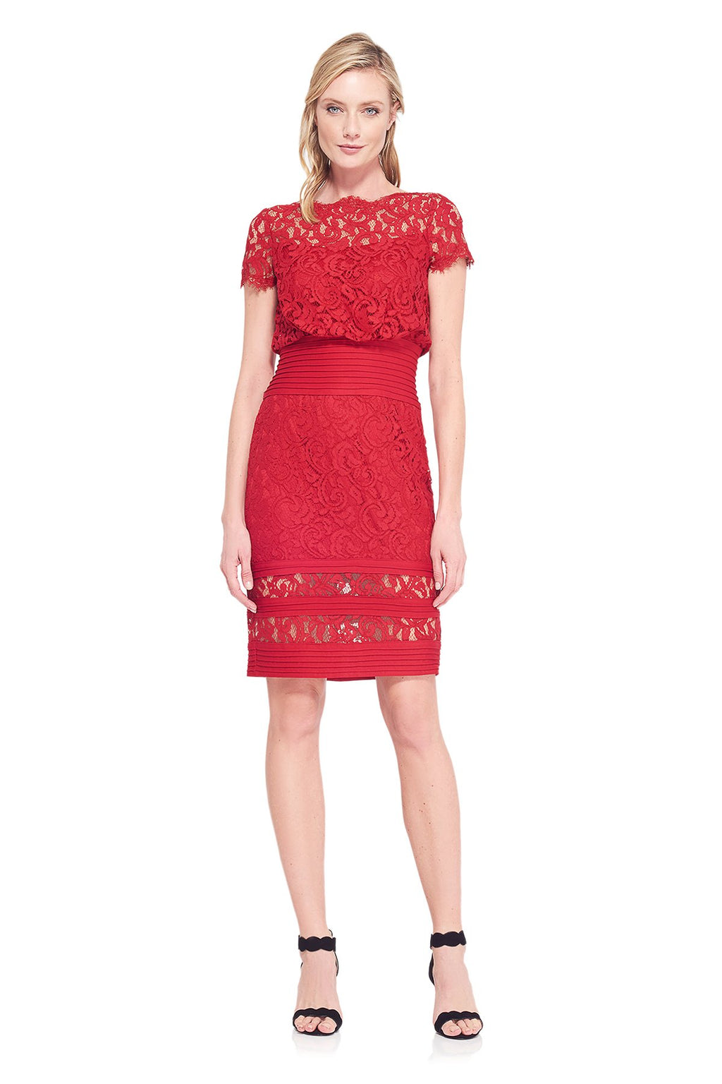 Tadashi Shoji Detail - Blouson Waist Embroidered Lace Dress