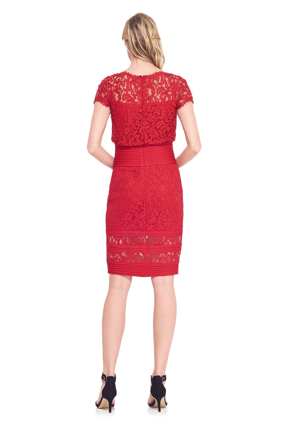 Tadashi Shoji Detail - Blouson Waist Embroidered Lace Dress
