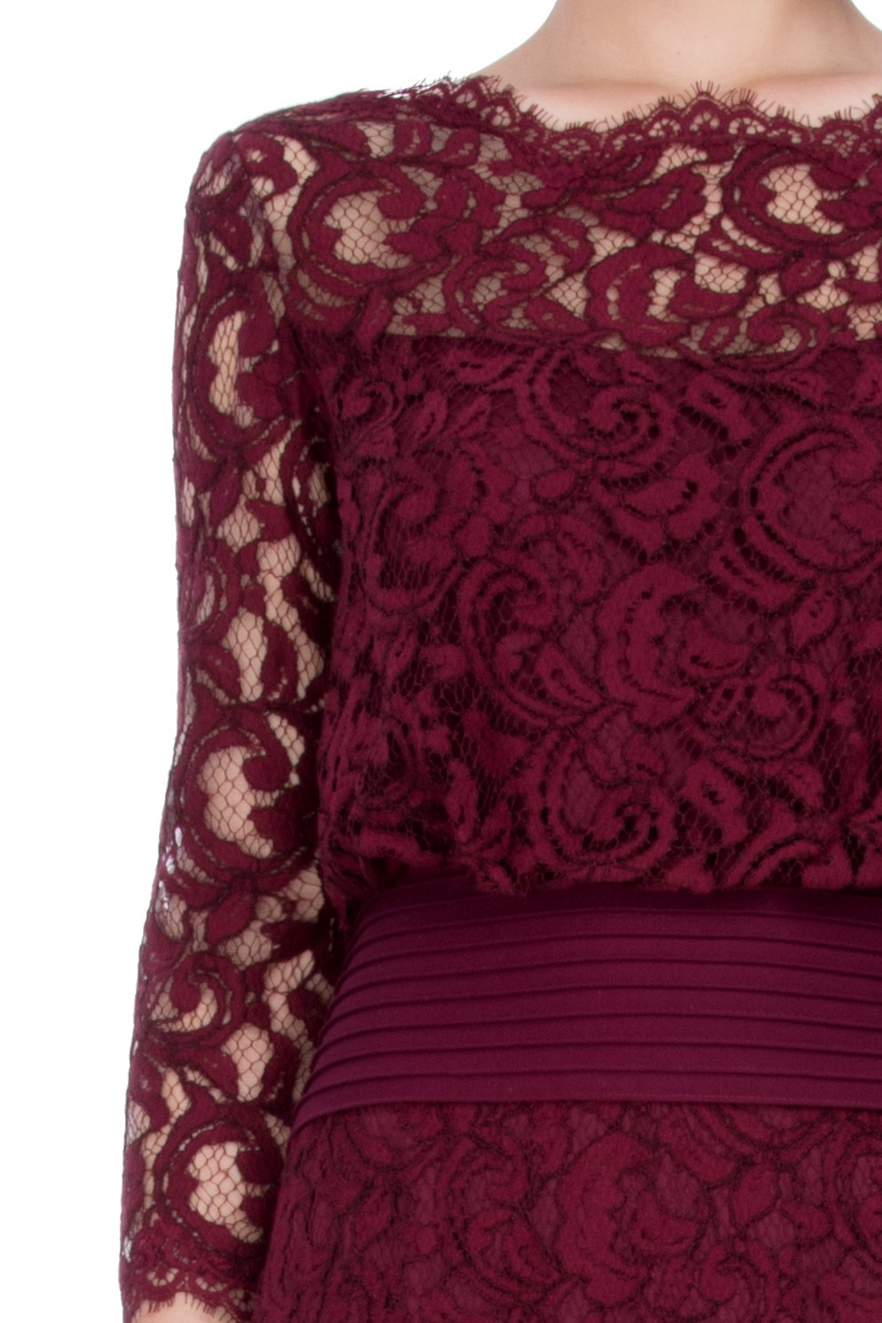 Tadashi Shoji Detail - Blouson Waist Embroidered Lace Dress