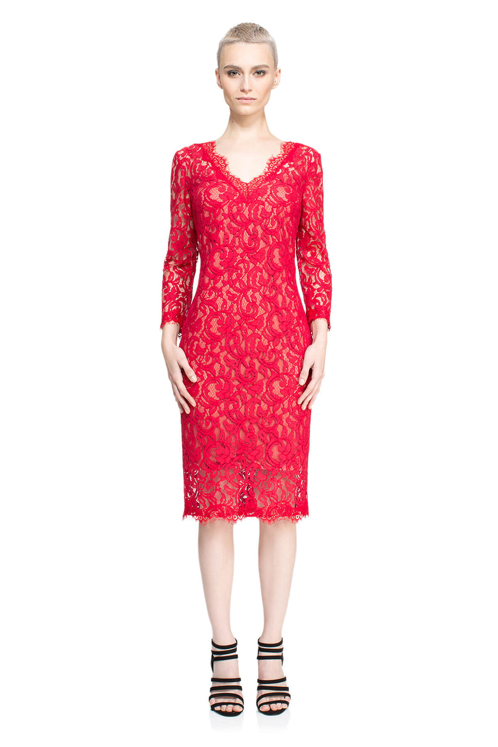 Tadashi Shoji - Nigel Dress