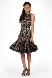 Embroidered Banded Lace Boatneck Dress in Black / Nude