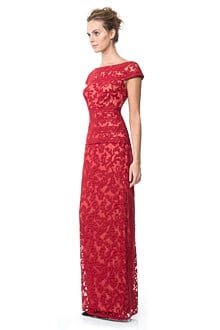 Embroidered Banded Lace Gown