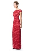 Embroidered Banded Lace Gown