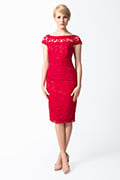 Embroidered Banded Lace Cap Sleeve Sheath Dress in French Rose