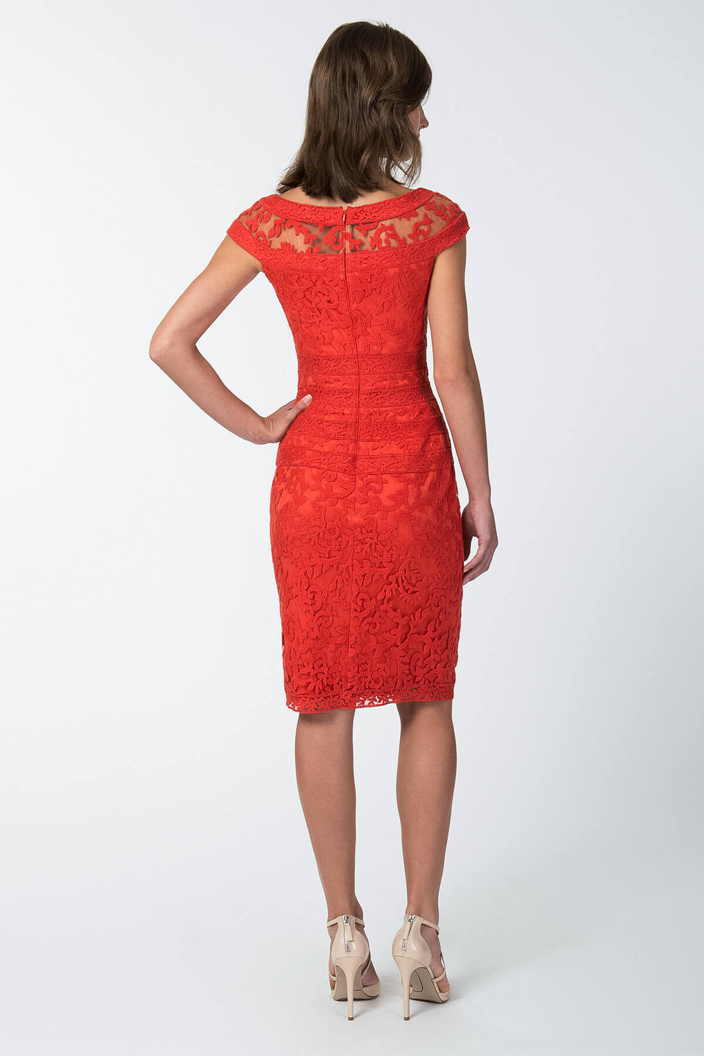 Embroidered Banded Lace Cap Sleeve Sheath Dress in Tango