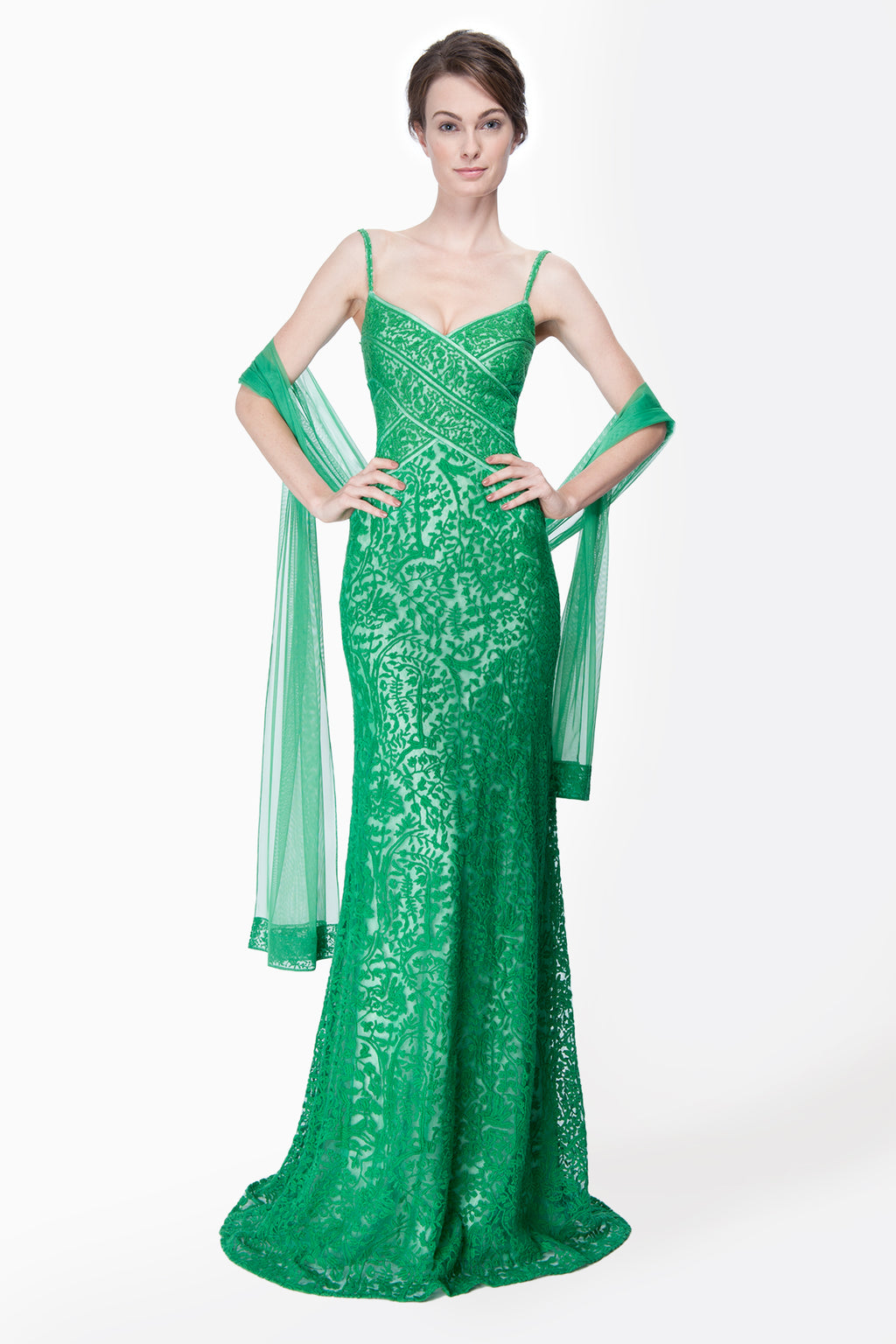 Embroidered Lace Banded Sweetheart Gown with Stole in Green Leaf