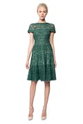 Embroidered Banded Lace Dress