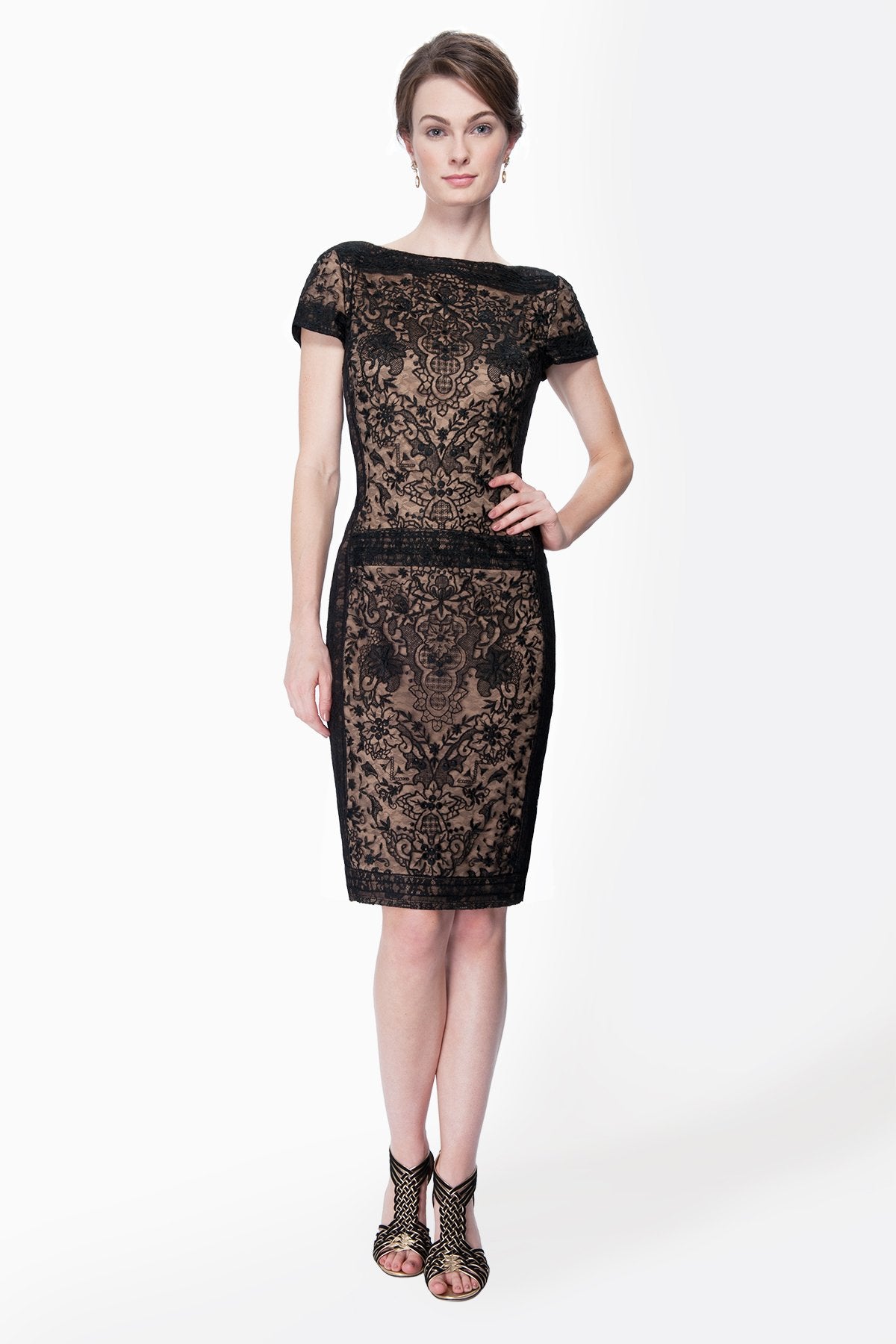 Embroidered Lace Cap Sleeve Sheath Dress in Black / Nude