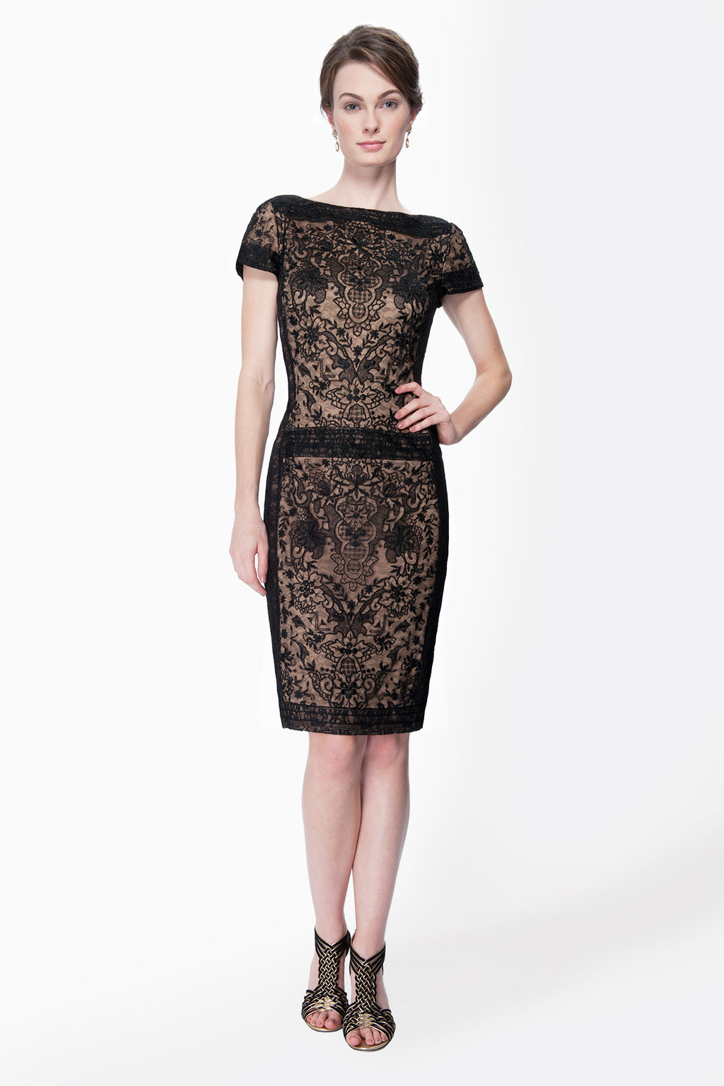 Embroidered Lace Cap Sleeve Sheath Dress in Black / Nude