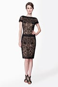 Embroidered Lace Cap Sleeve Sheath Dress in Black / Nude