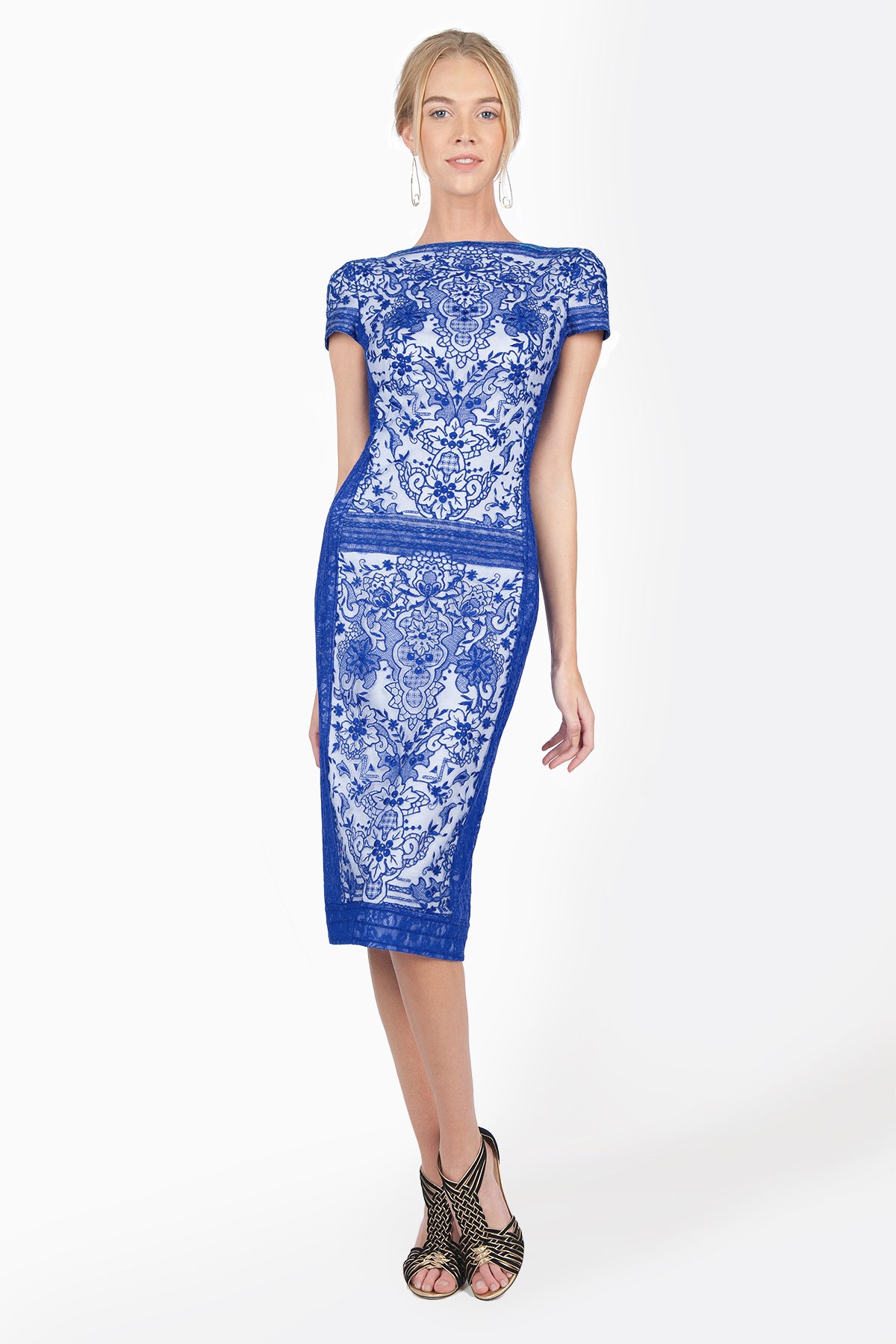 Embroidered Lace Cap Sleeve Sheath Dress