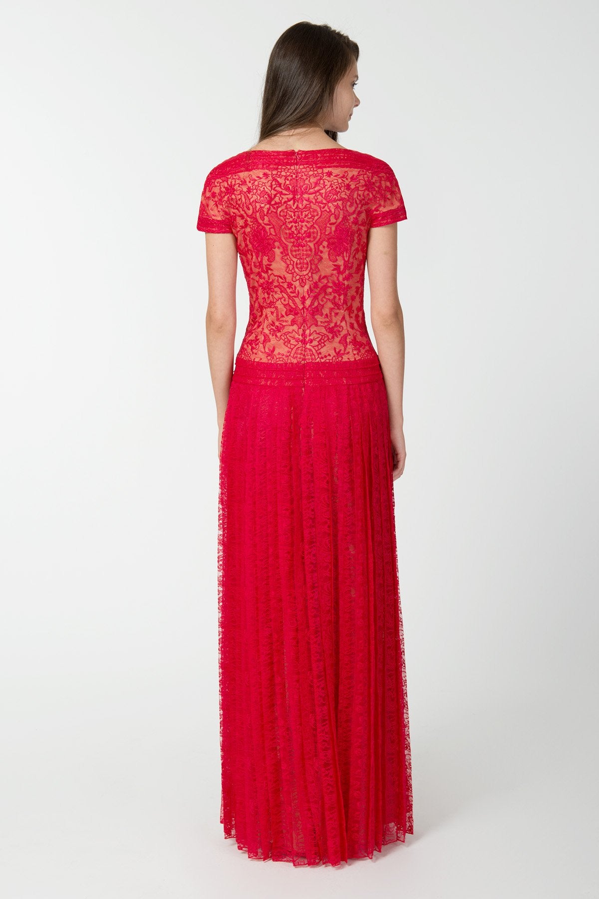 Embroidered Banded Lace Cap Sleeve Pleated Gown in Rose Dust