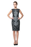 Embroidered Lace Overlay Dress