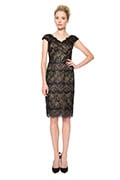 Chantilly Lace Scallop V-Neck Dress in Black / Nude