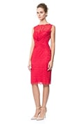 Chantilly Lace Boatneck Sheath