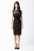 Chantilly Lace Boatneck Sheath Dress in Black / Nude