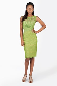 Chantilly Lace Boatneck Sheath Dress in Waterleaf / Nude