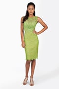 Chantilly Lace Boatneck Sheath Dress in Waterleaf / Nude