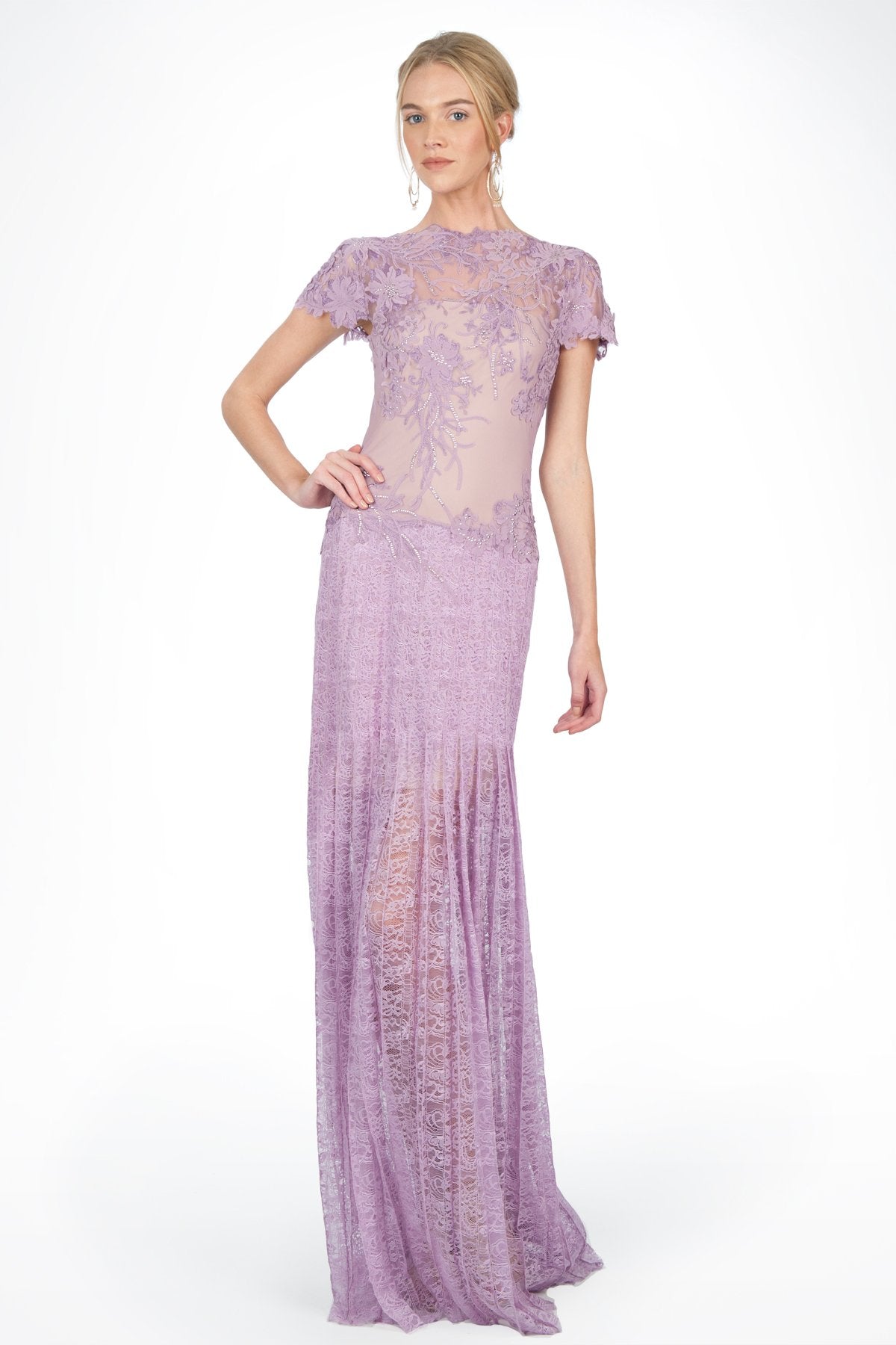 Lace and Embellished Floral Applique Cap Sleeve Gown in Pale Iris