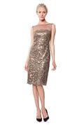 Mesh Illusion Sequin Dress