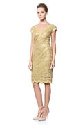 Paillette Embroidered Lace Dress