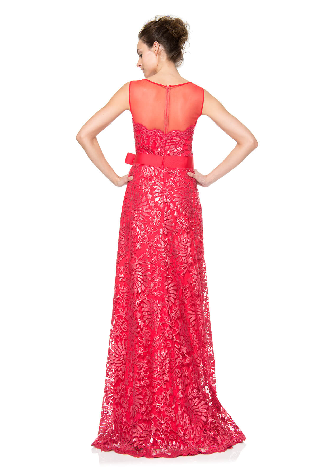 Mesh Illusion Paillette Embroidered Gown