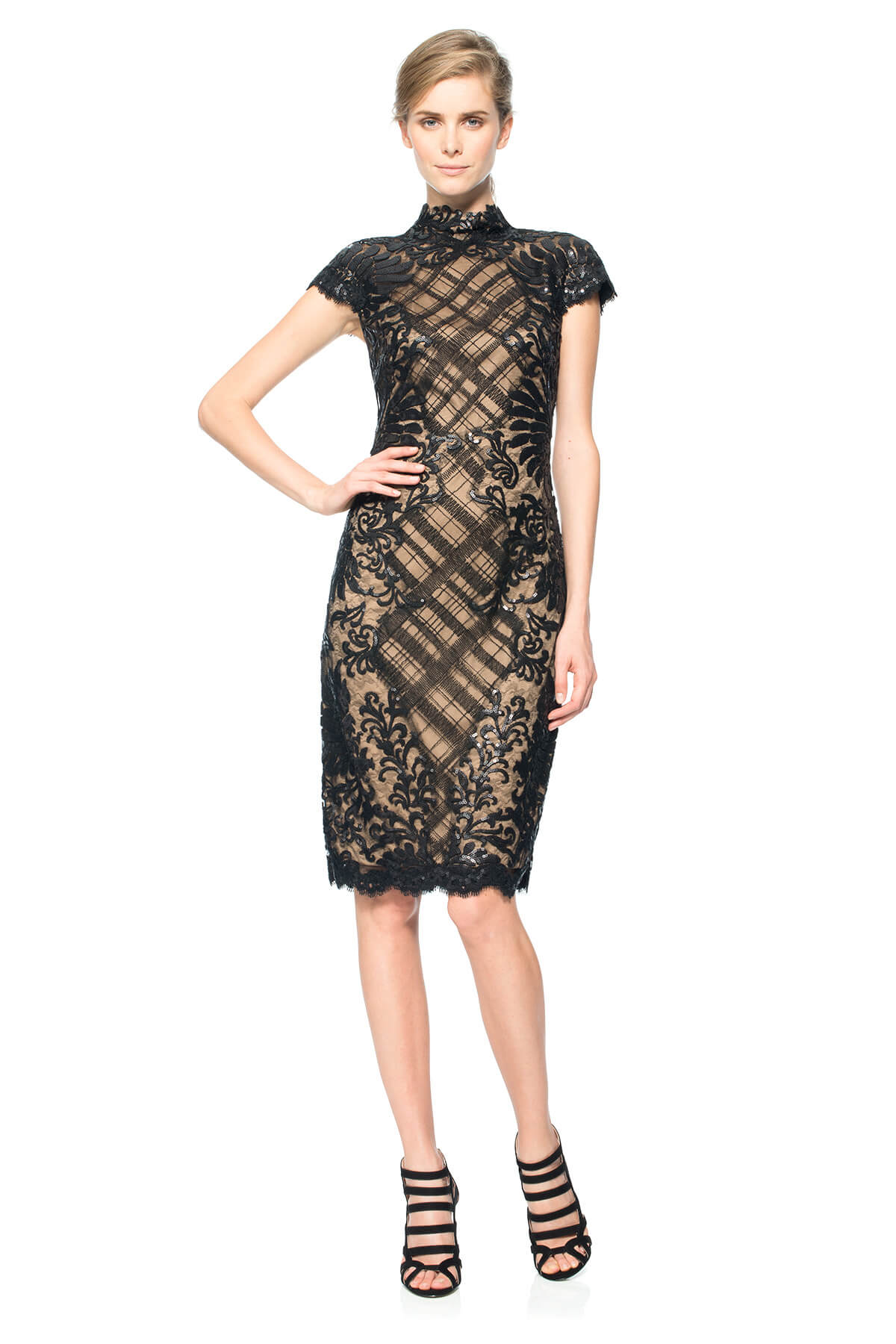 Paillette Embroidered Lace and Tulle Cap Sleeve Dress