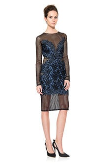 Mesh and Lace Applique Long Sleeve Dress