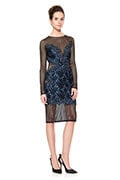 Mesh and Lace Applique Long Sleeve Dress