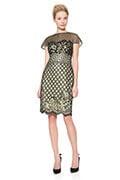Embroidered Tulle and Sequin Lace Capelet Dress