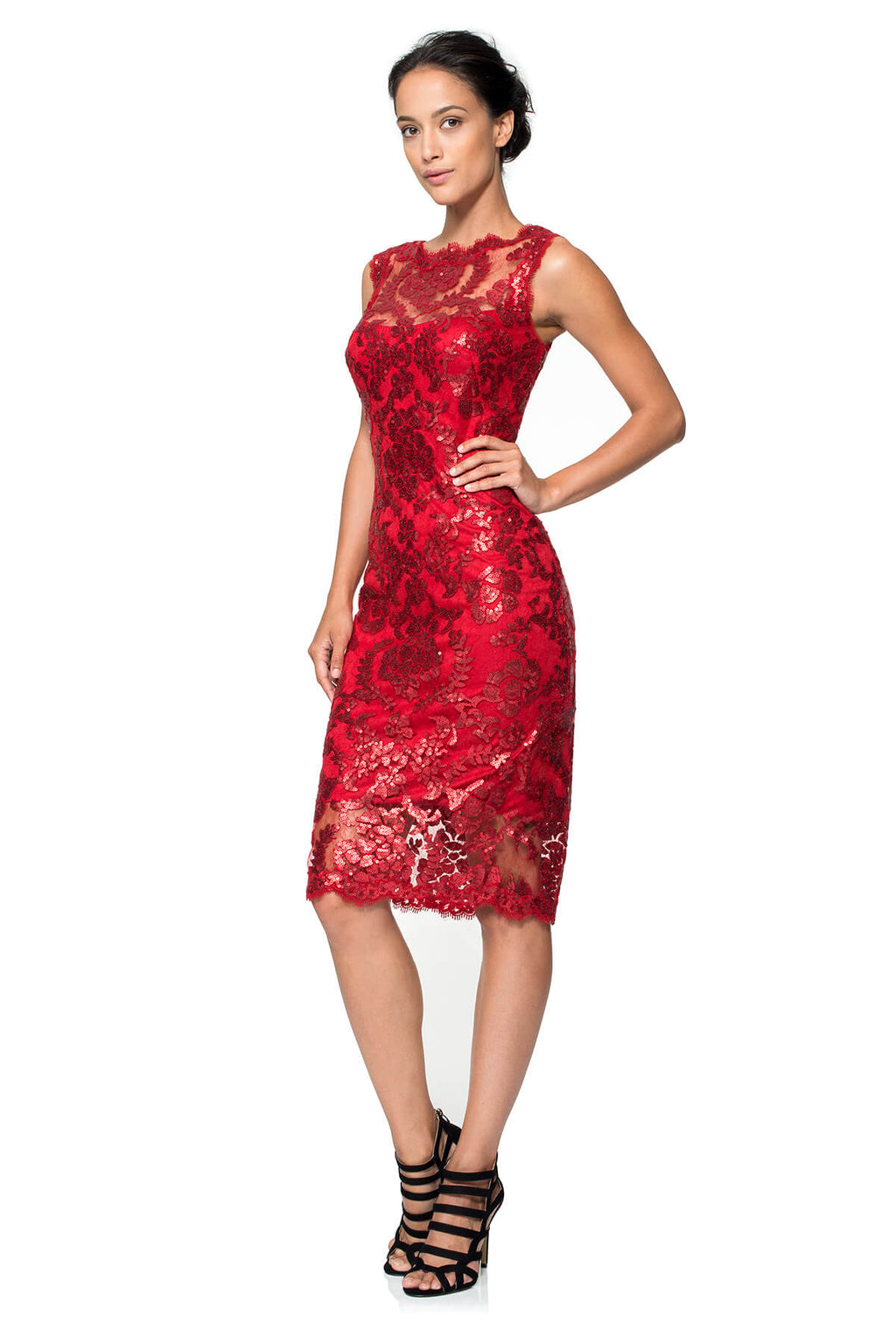 Paillette Embroidered Lace Sheath