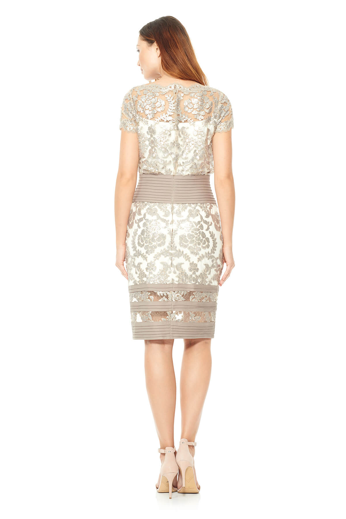 Tadashi Shoji Petite Size - Blouson Waist Paillette Embroidered Lace Cap Sleeve Dress