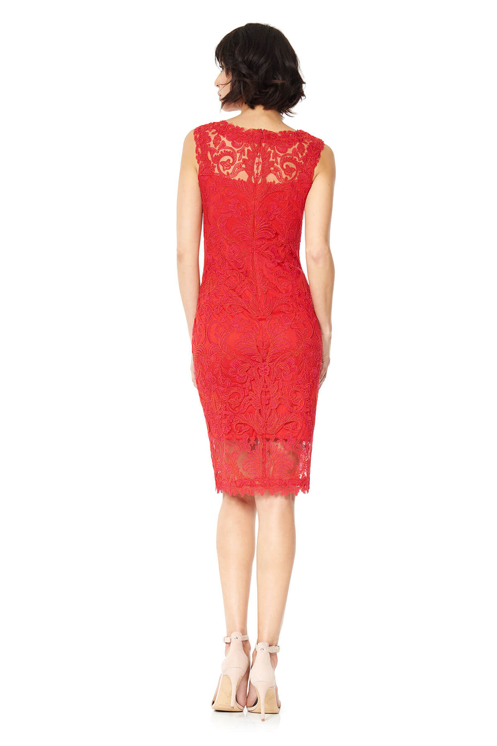 Tadashi Shoji - Corded Embroidery on Tulle Boatneck Dress