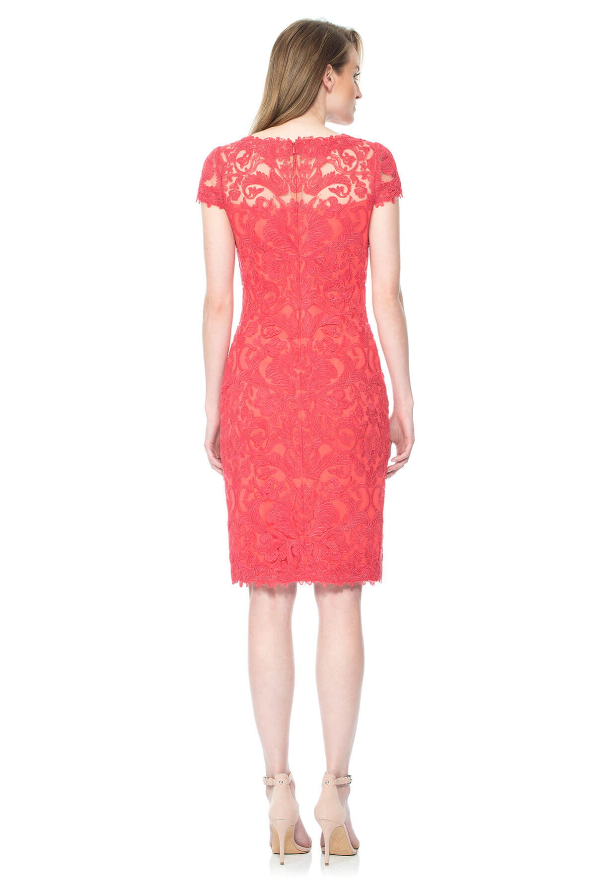 Tadashi Shoji - Corded Embroidery on Tulle Cap Sleeve Dress
