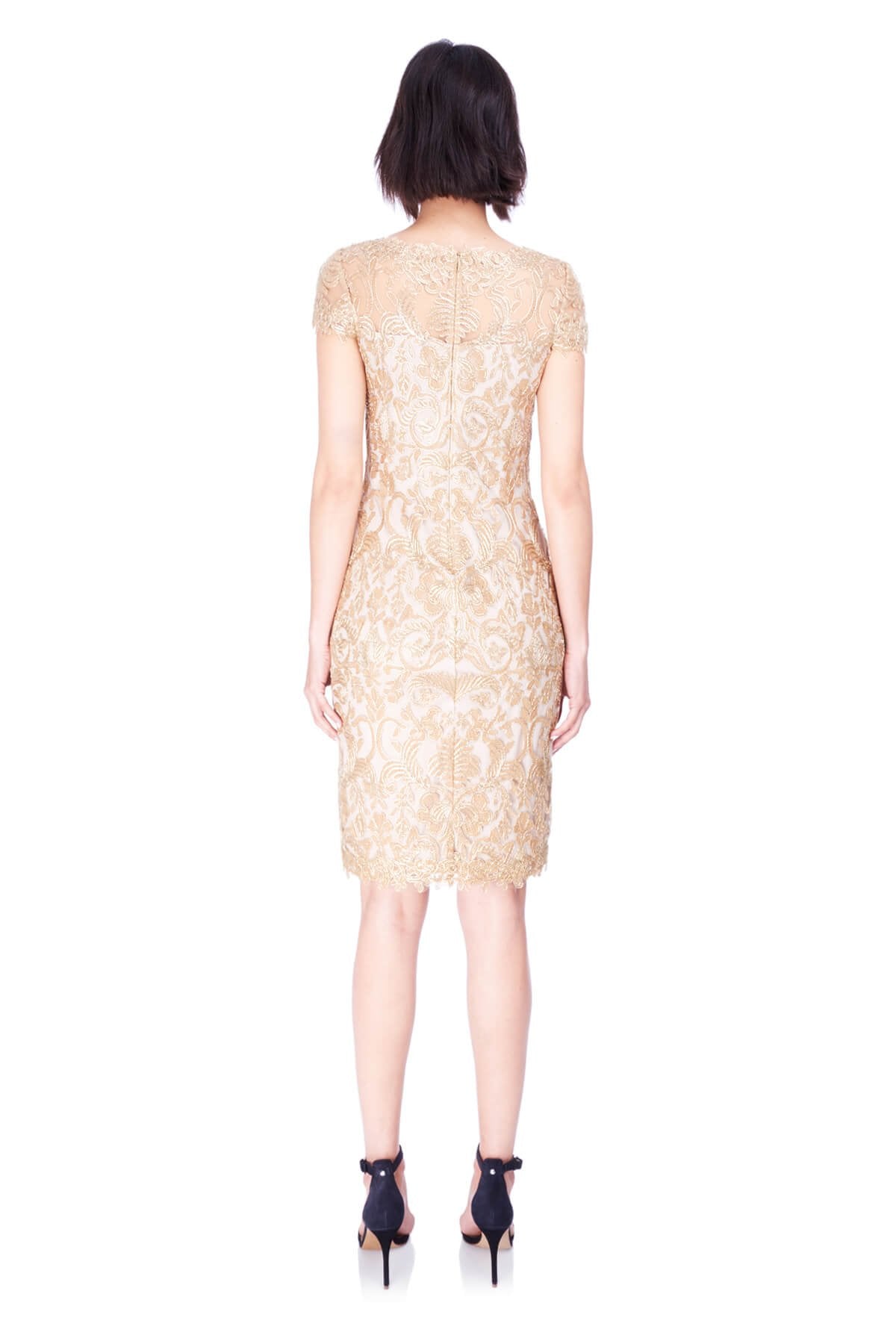 Tadashi Shoji - Corded Embroidery on Tulle Cap Sleeve Dress